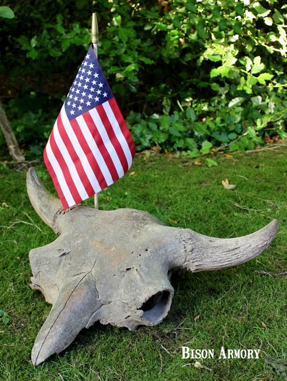 American Buffalo Skull American Buffalo Skull